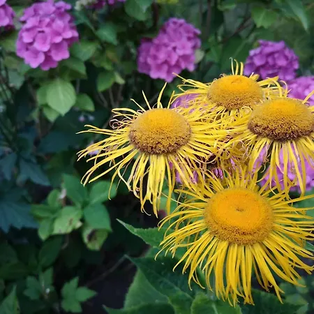 6 Person In Nyaraló *