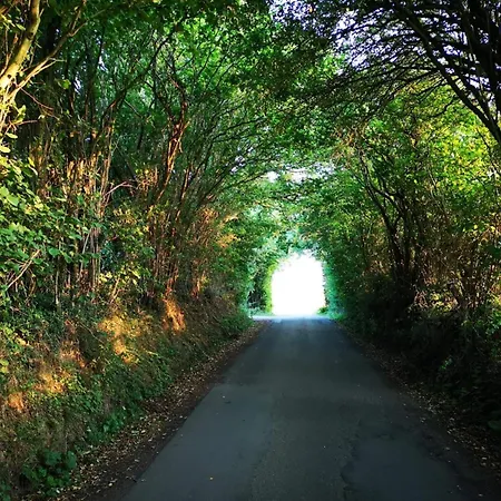 Nyaraló 6 Person In